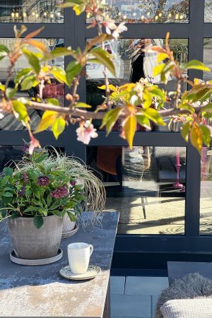 Dekton Trilium Porselen Mutfak Tezgahı - Görsel 5