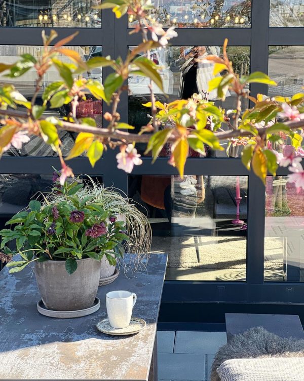 Dekton Trilium Porselen Mutfak Tezgahı