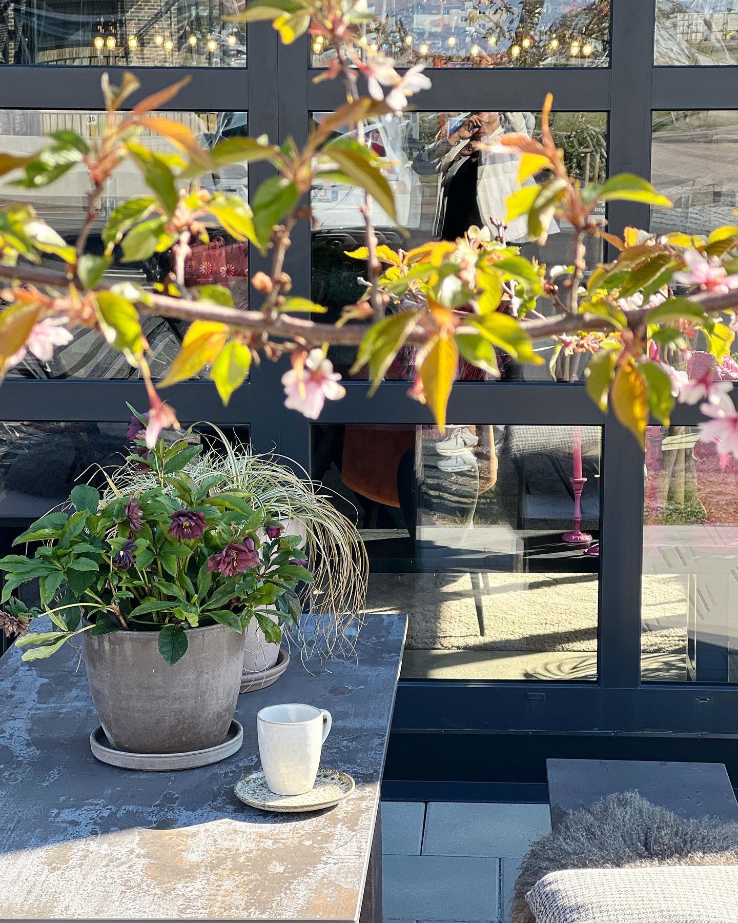 Dekton Trilium Porselen Mutfak Tezgahı - Görsel 5