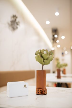 Entzo Calacatta Gold Porselen Yüzey