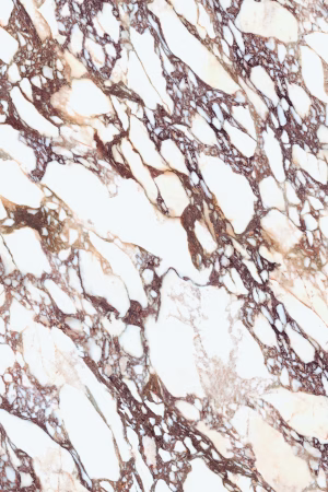 Laminam Calacatta Viola Porselen Mutfak Tezgahı