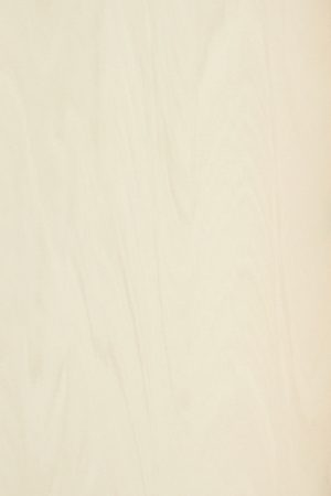 Neolith Arena | Porselen Mutfak Tezgahı