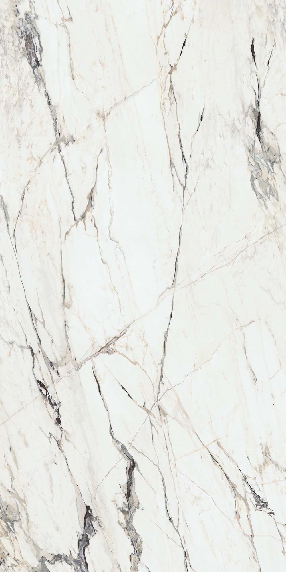 Calacatta Capraia | T-One Porselen Tezgah