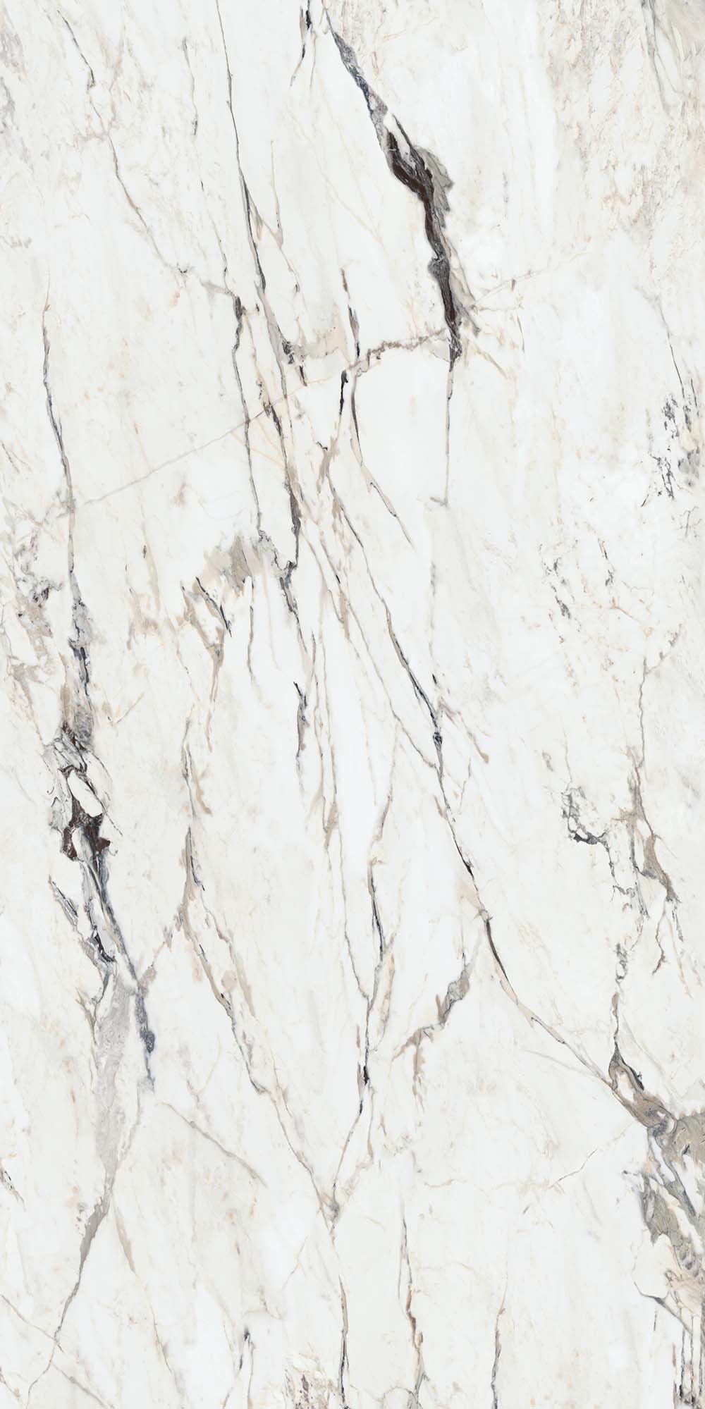 Calacatta Capraia | T-One Porselen Tezgah