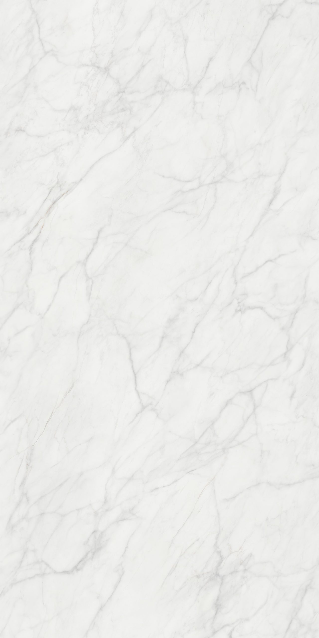 Calacatta Caldia | T-One Porselen Tezgah