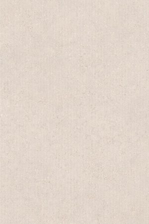 Calcario Light Grey | T-One Porselen