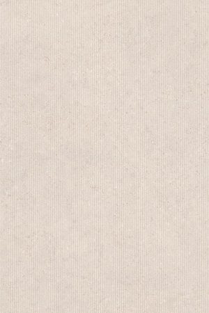 Calcario Light Grey | T-One Porselen