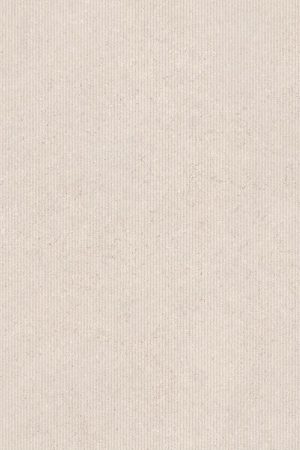 Calcario Light Grey | T-One Porselen