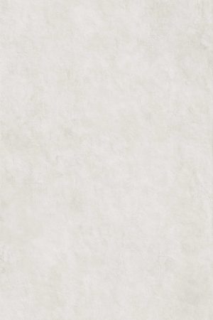 Coverlam Surface | Porselen Mutfak Tezgahı - Görsel 7