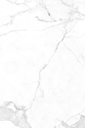 Neolith Estatuario | Porselen Mutfak Tezgahı