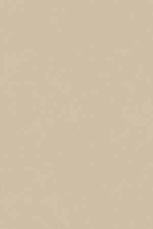 Intonaco Beige | T-One Porselen