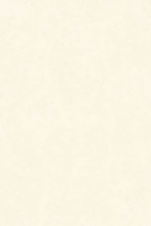 Intonaco White | T-One Porselen