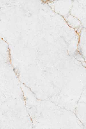 Neolith Abu Dhabi White | Porselen Mutfak Tezgahı