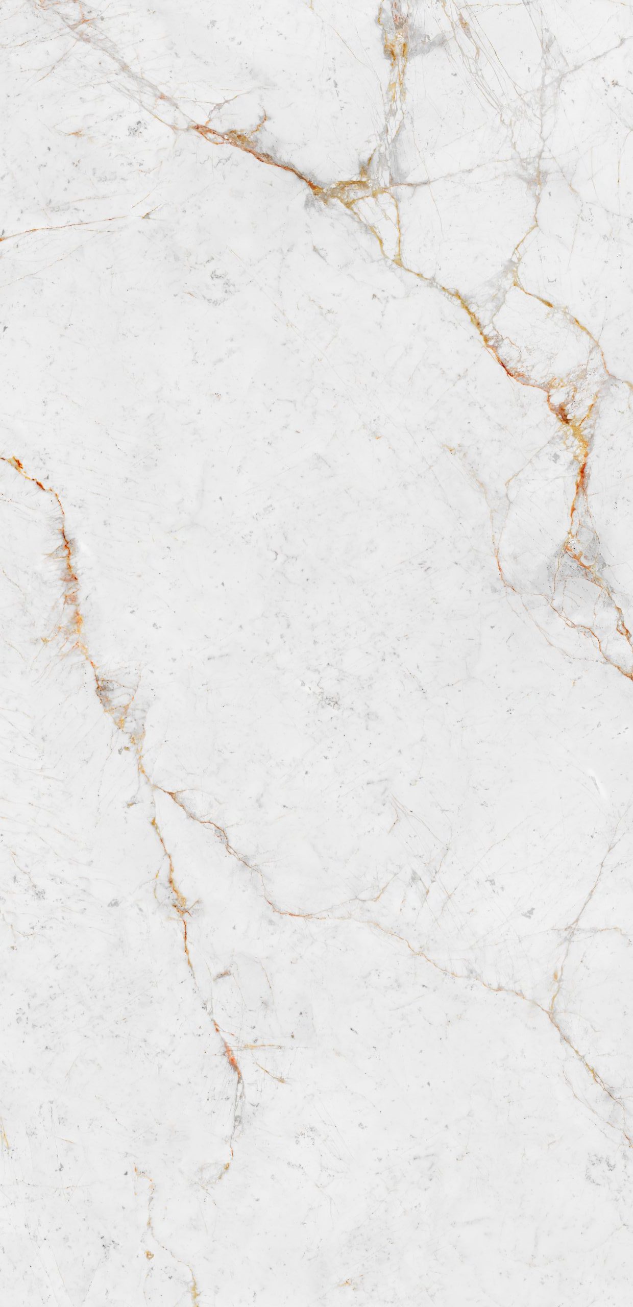 Neolith Abu Dhabi White | Porselen Mutfak Tezgahı