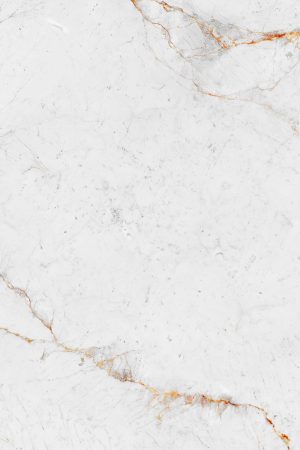 Neolith Abu Dhabi White | Porselen Mutfak Tezgahı - Görsel 2
