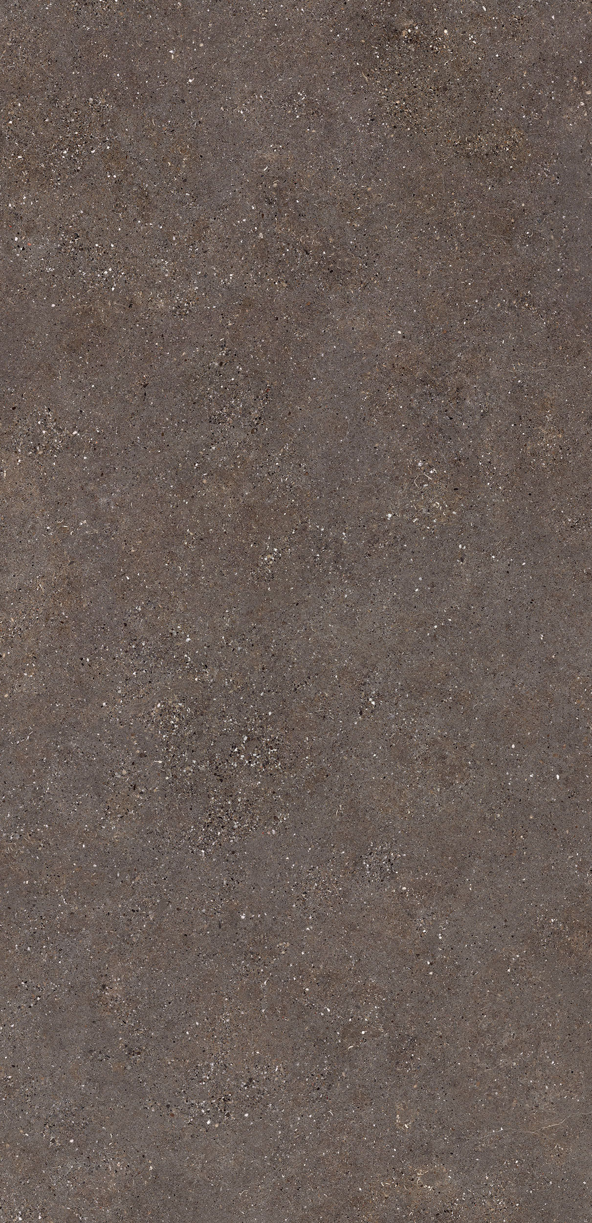 Neolith Wulong | Porselen Mutfak Tezgahı