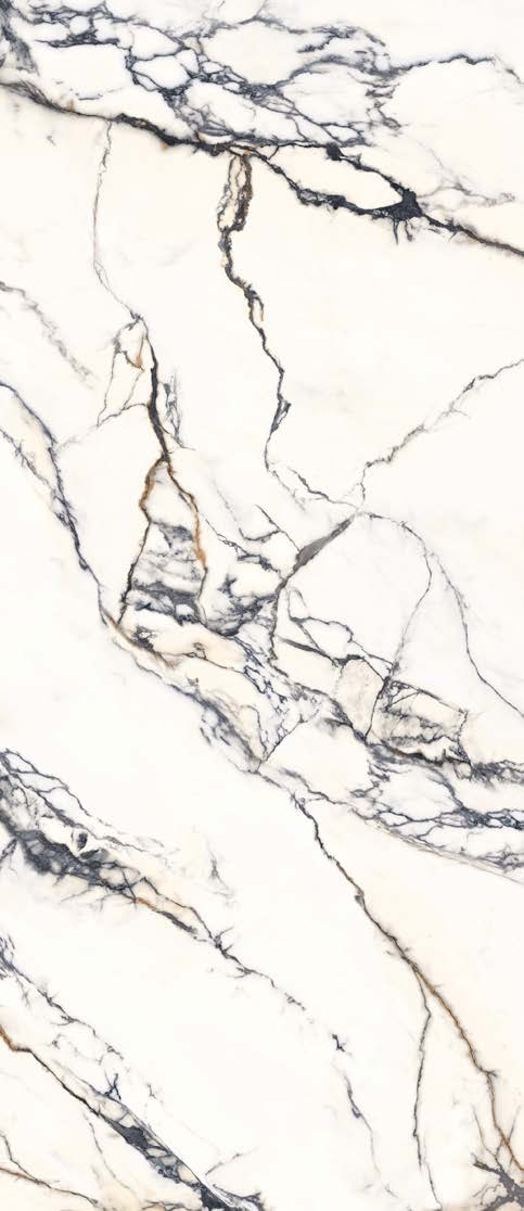 Paonazzetto  Lapidura İtalyan Porselen