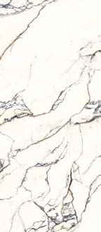 Paonazzetto  Lapidura İtalyan Porselen - Görsel 7