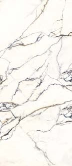 Paonazzetto  Lapidura İtalyan Porselen - Görsel 6