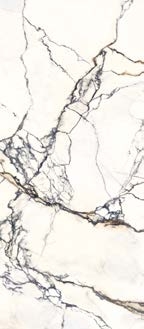 Paonazzetto  Lapidura İtalyan Porselen - Görsel 4