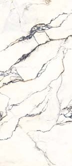 Paonazzetto  Lapidura İtalyan Porselen - Görsel 3