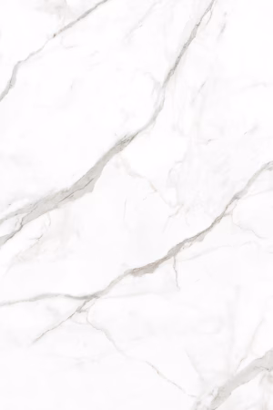 Products Calacatta Oro Venato