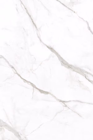 Products Calacatta Oro Venato