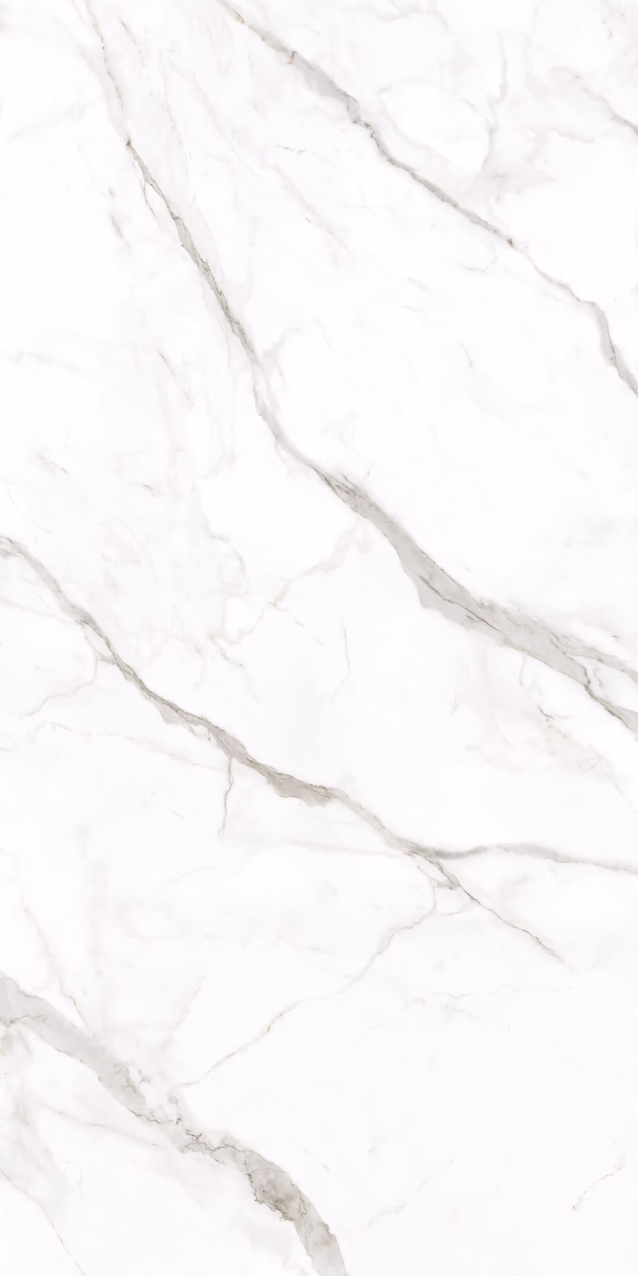 Products Calacatta Oro Venato