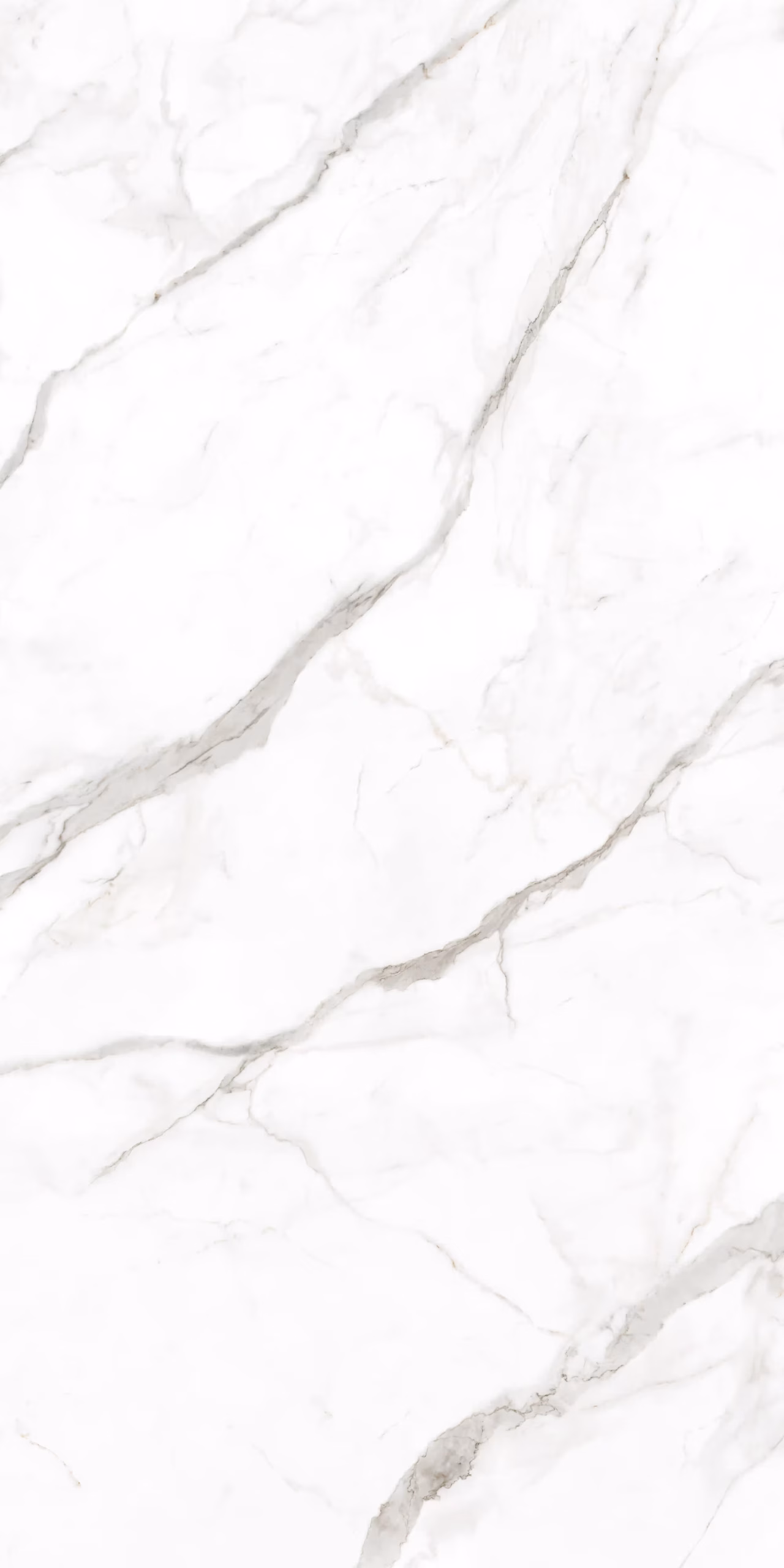 Products Calacatta Oro Venato