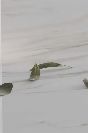 BiqSlab Calacatta Oro Porselen Tezgah