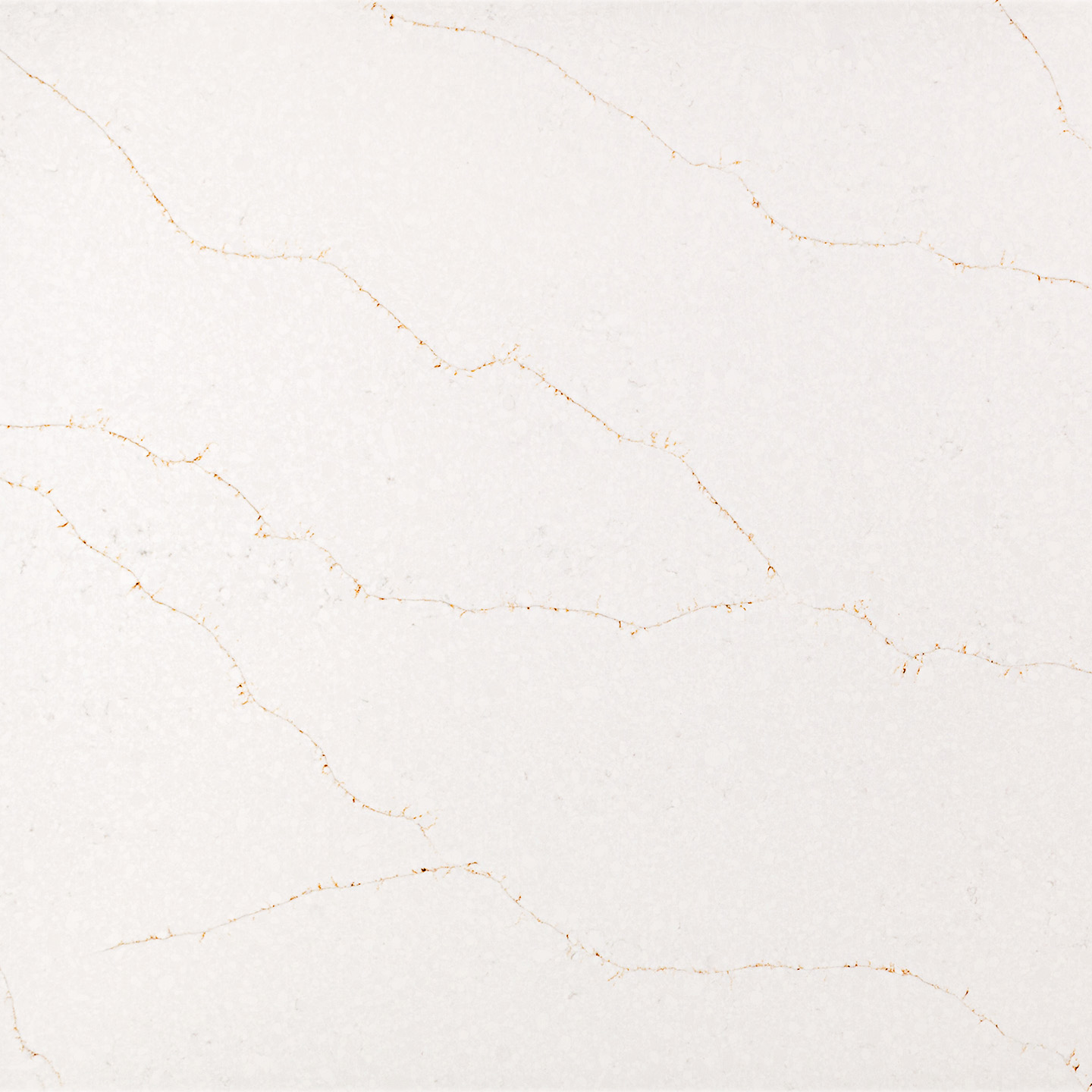 Coante Calacatta Vivaldi Gold | Kuvars Mutfak Tezgahı