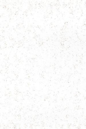 Coante Carrara Oro Ultra | Kuvars Mutfak Tezgahı