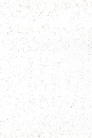 Coante Carrara Oro Ultra | Kuvars Mutfak Tezgahı