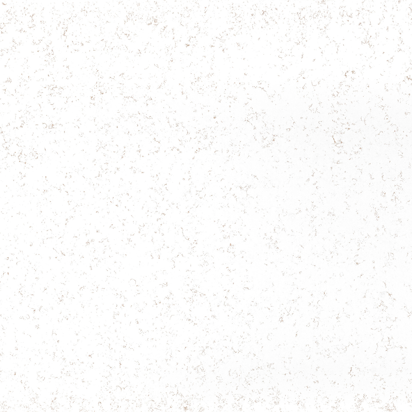 Coante Carrara Oro Ultra | Kuvars Mutfak Tezgahı