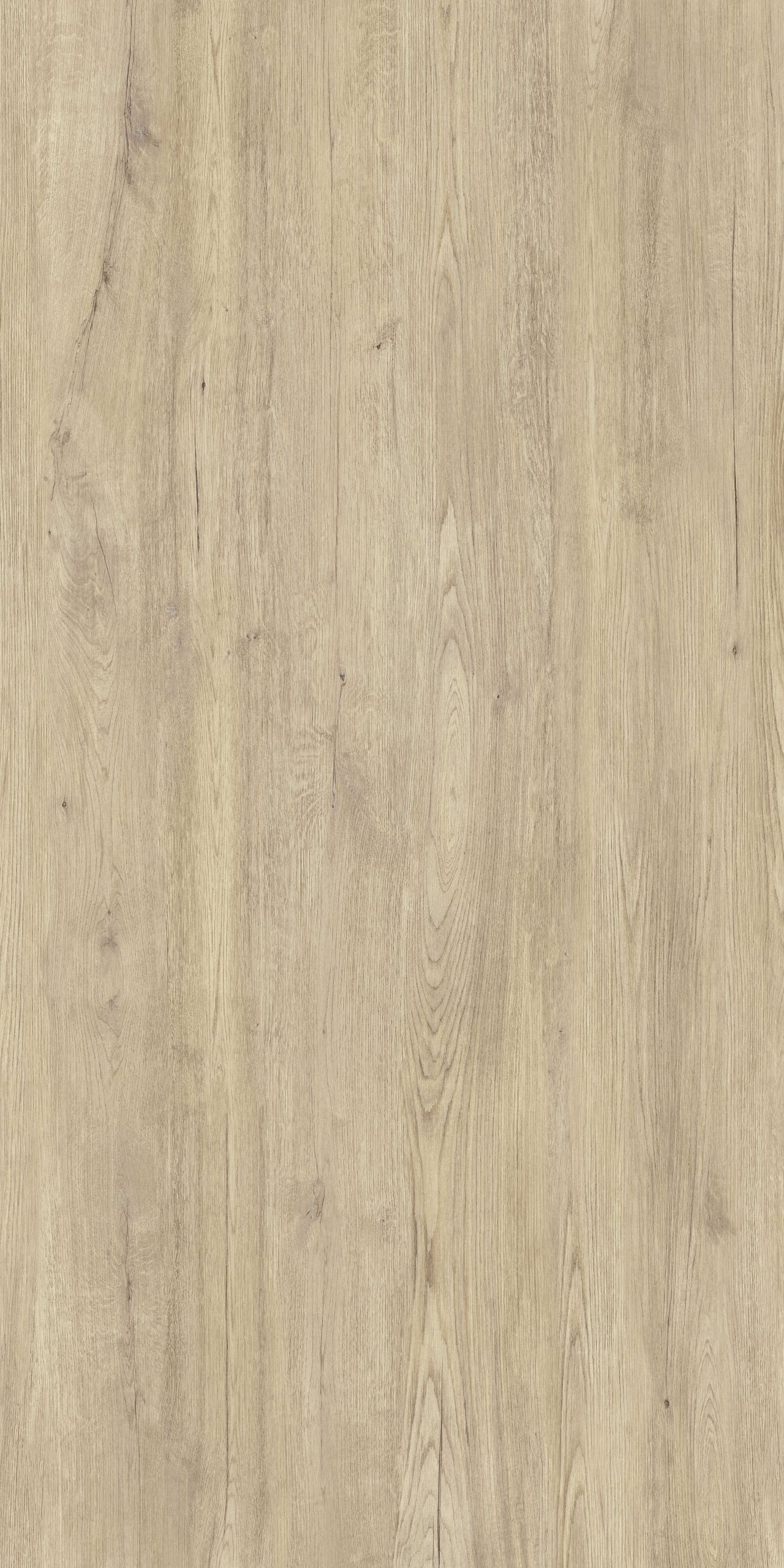 Coverlam Jungla | Porselen Mutfak Tezgahı