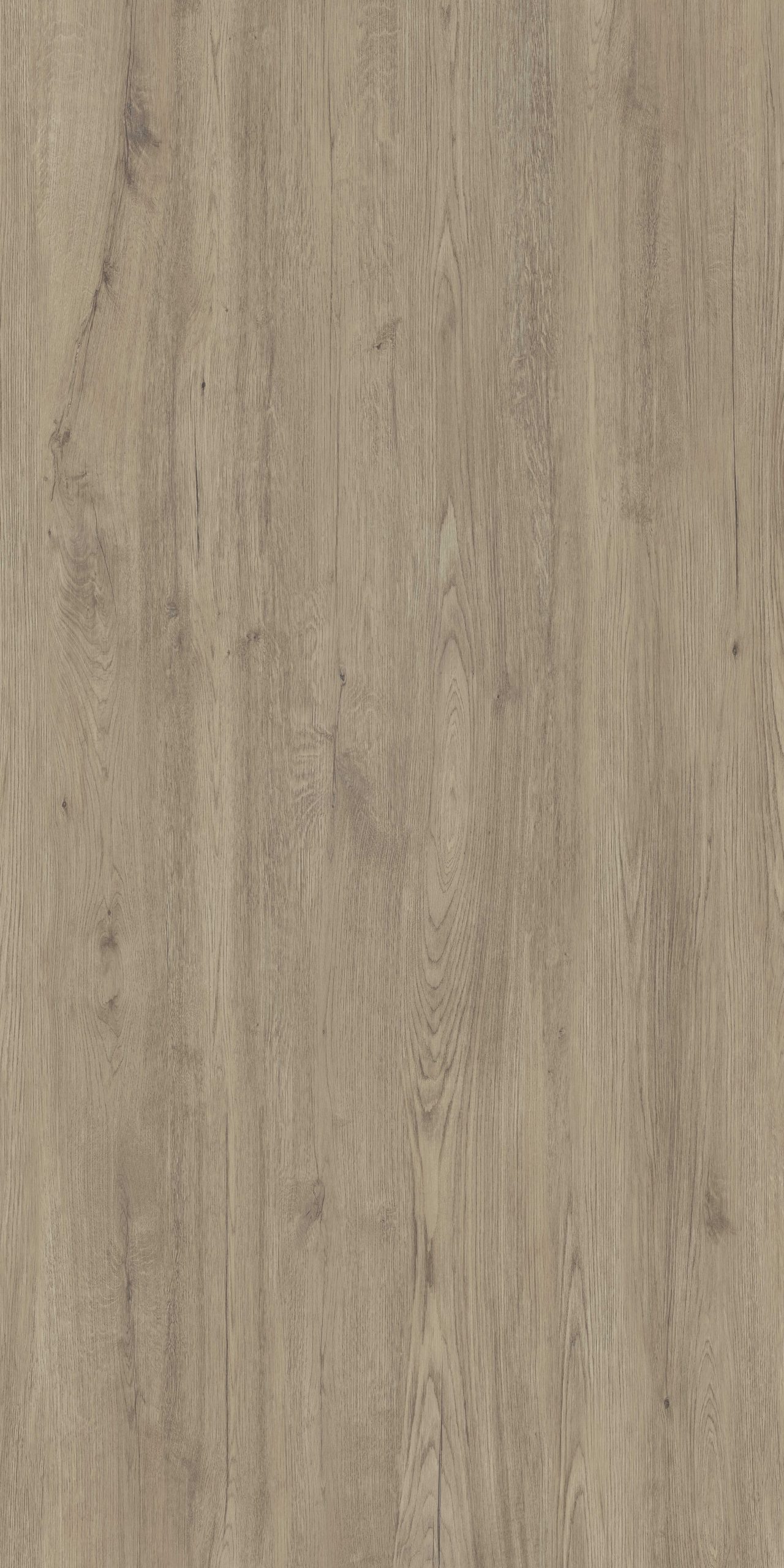 Coverlam Jungla | Porselen Mutfak Tezgahı