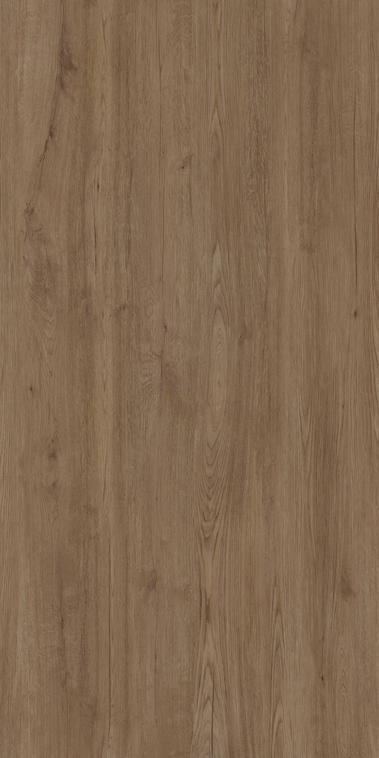 Coverlam Jungla | Porselen Mutfak Tezgahı