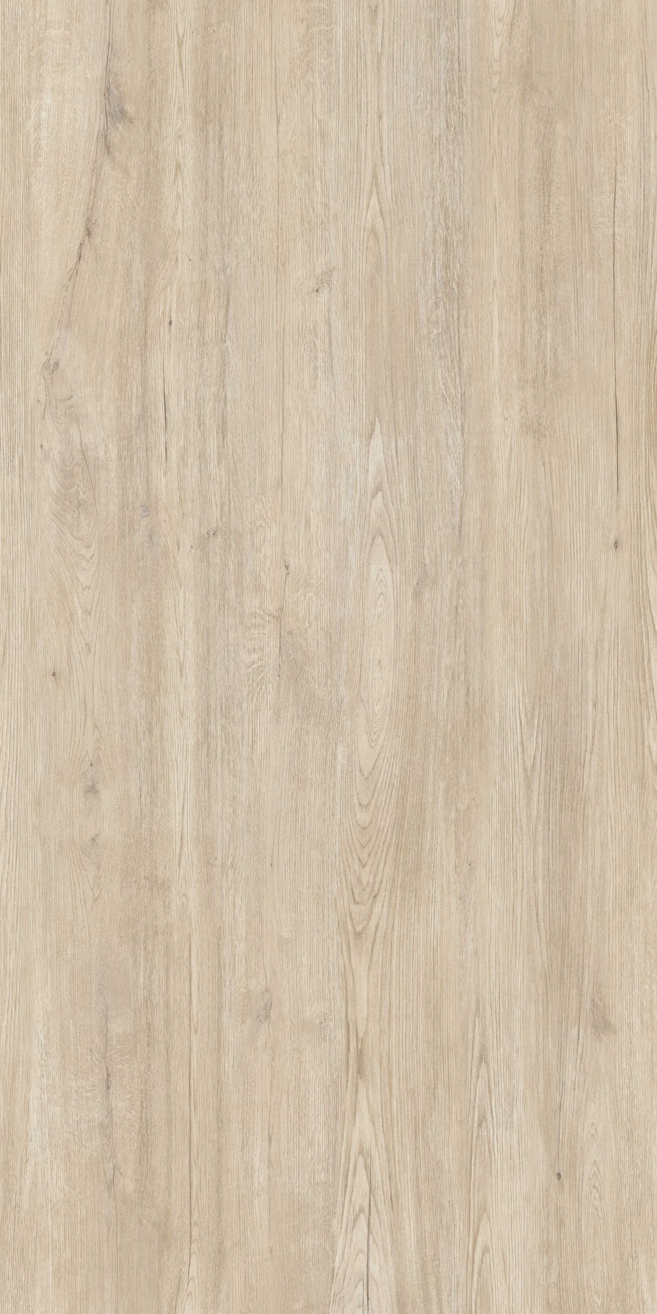 Coverlam Jungla | Porselen Mutfak Tezgahı