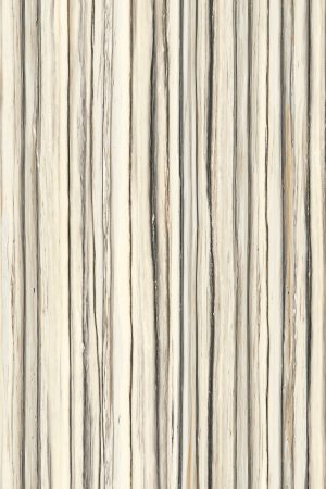 Fondovalle Zebrino | Porselen Mutfak Tezgahı