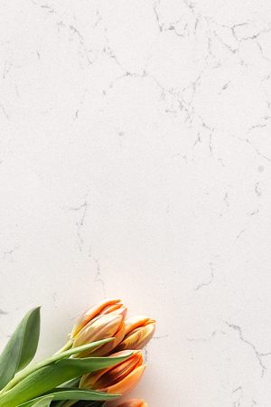 Belenco Calacatta Venatino 20mm Kuvars Tezgah