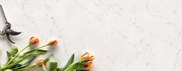 Belenco Calacatta Venatino 20mm Kuvars Tezgah