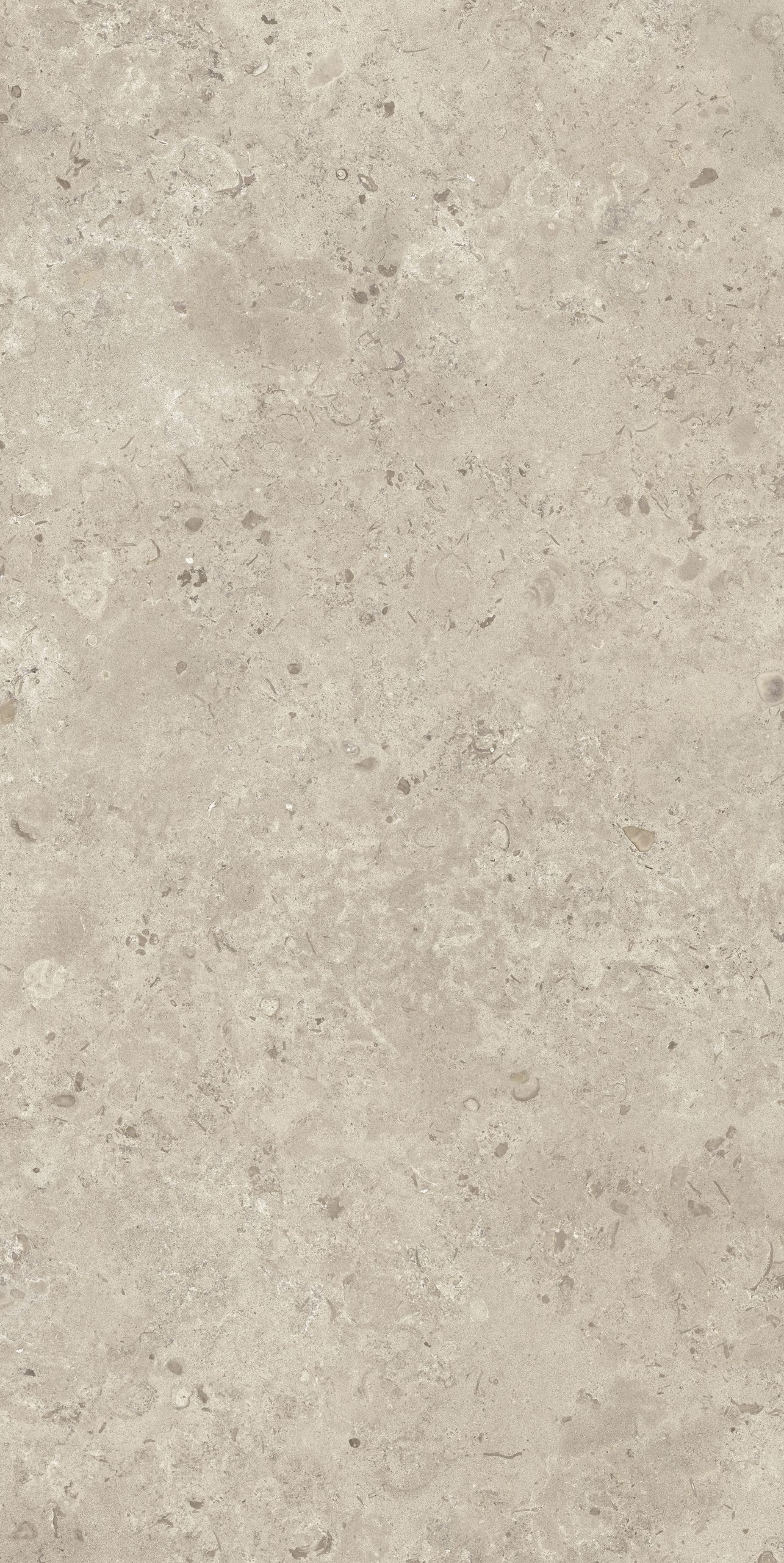 Lapidura Norwegian Stone Beige porselen plakanın fosilli ve doğal taş desenli, bej renkli yüzeyinin yakın plan görünümü.