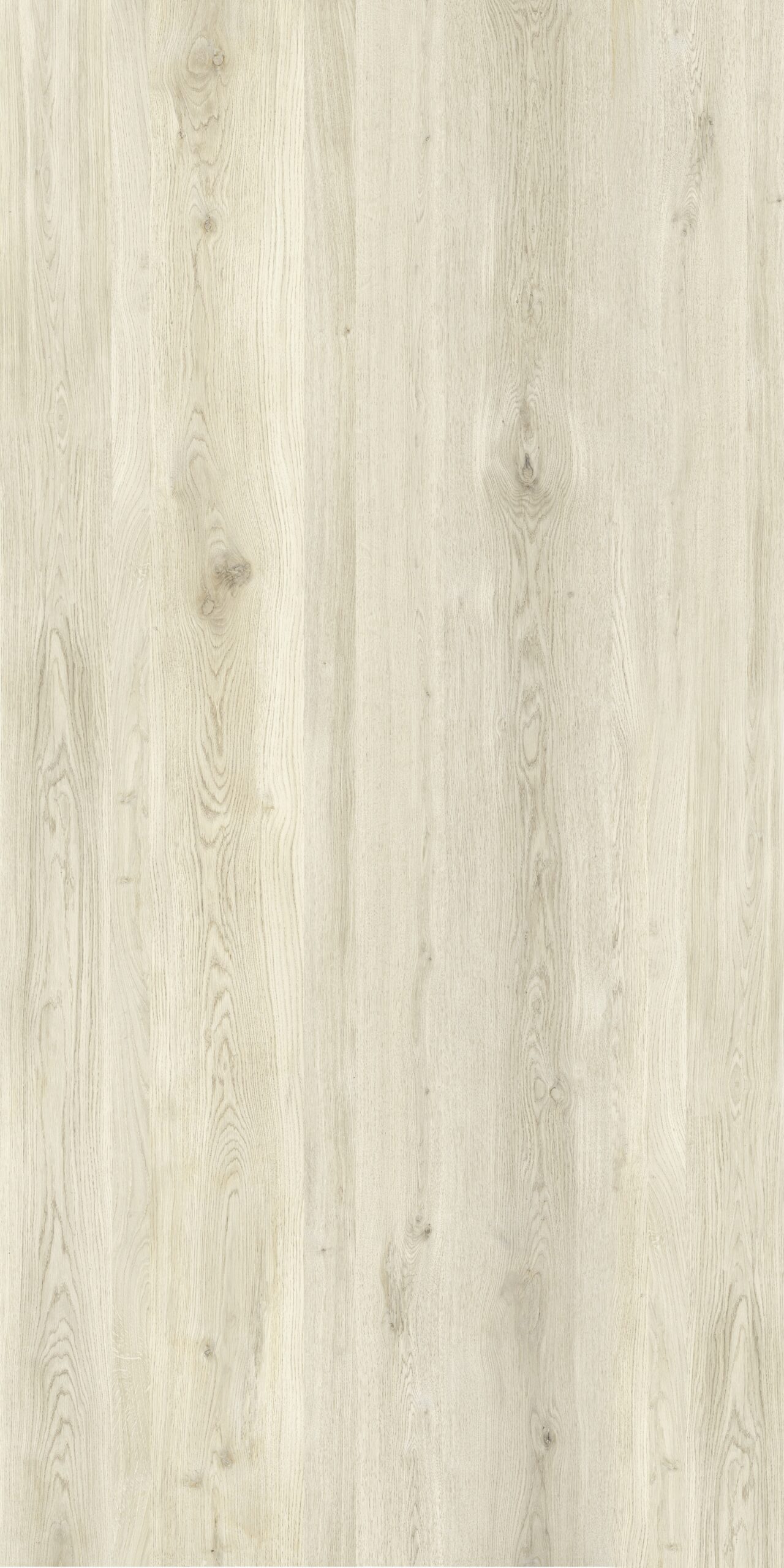 Lapidura Wood Essence Almond Porselen Plaka - Görsel 1