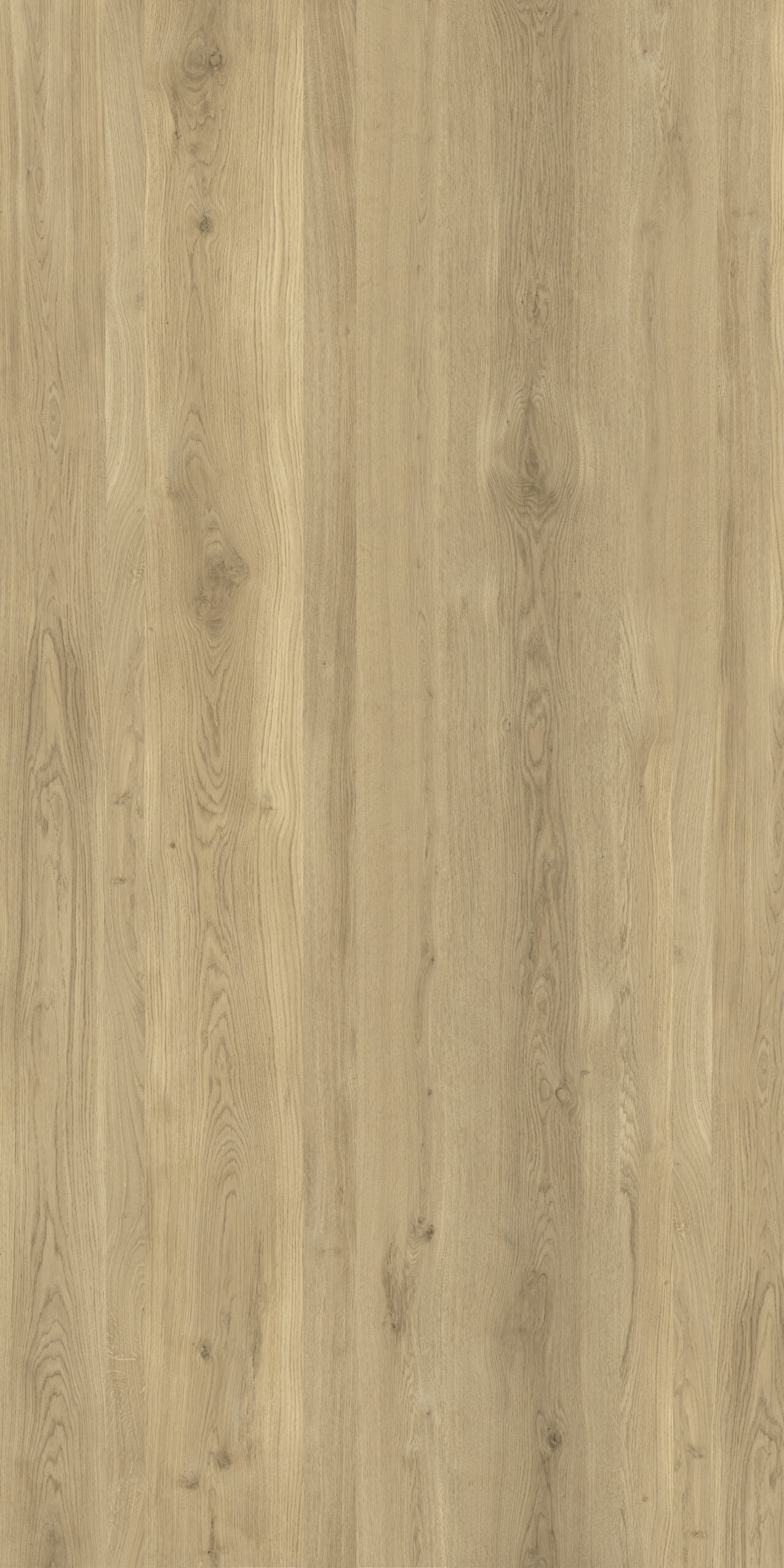 Lapidura Wood Essence Oak Porselen Plaka - Görsel 1