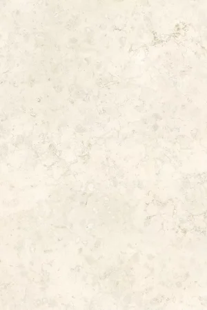 Perlino Ivory | Lapidary AP
