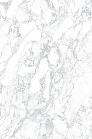Laminam Arabescato - Görsel 3